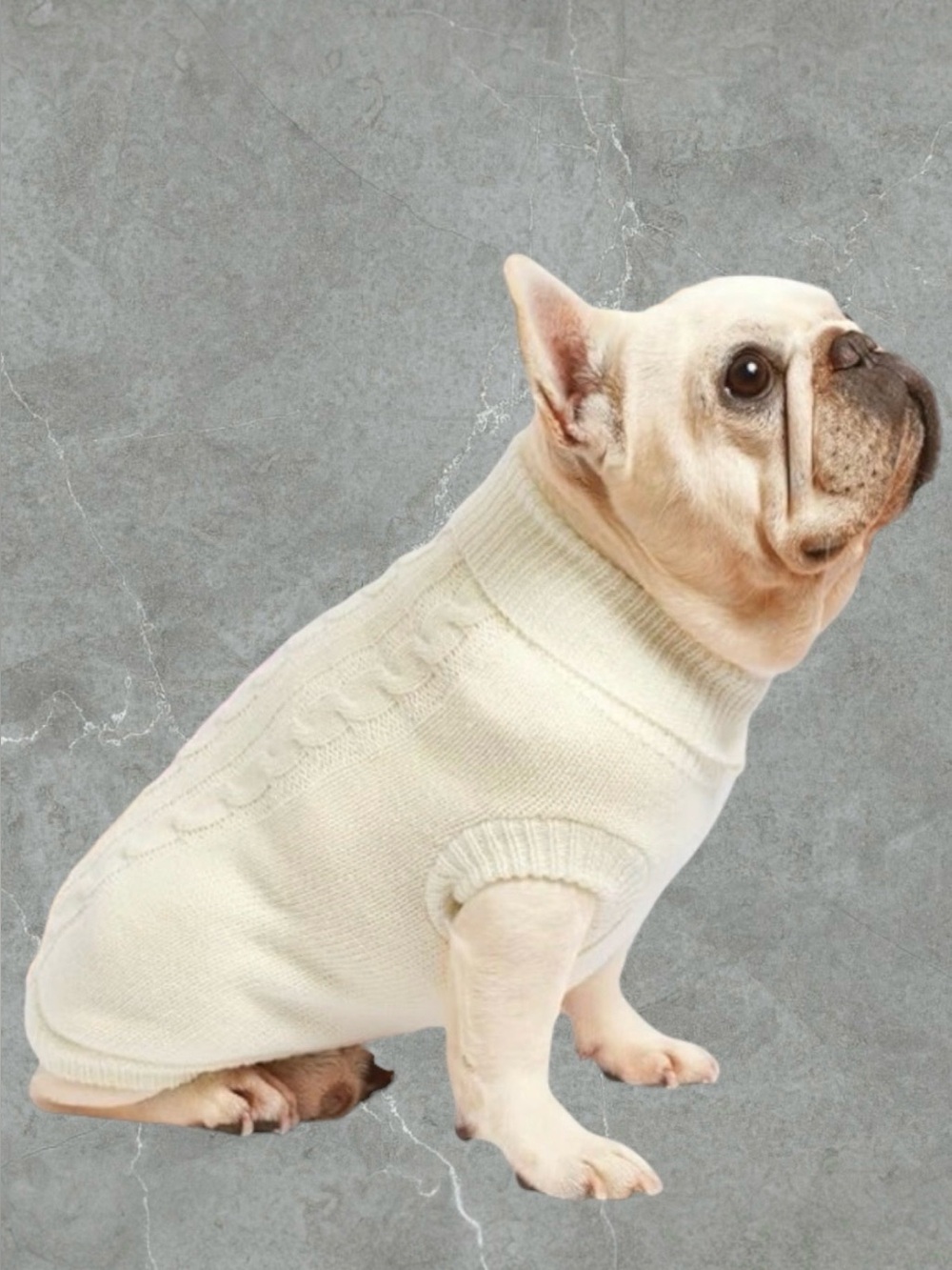 2 for $30 | Cotton Blend Knit Small Pet Sweater